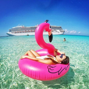 Giant Inflatable Flamingo Unicorn Pool Floats